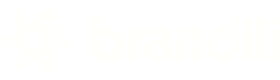 Logo Brandili